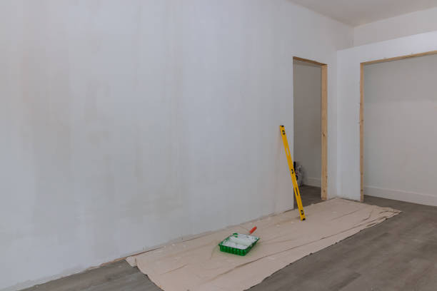 Professional Mold Removal in Cooper, TX